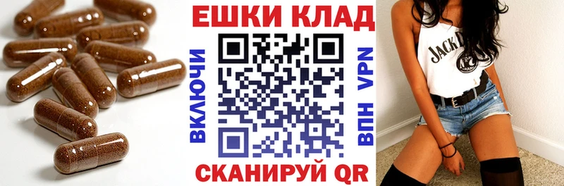 ОМГ ОМГ ONION  Нурлат  Экстази бентли 