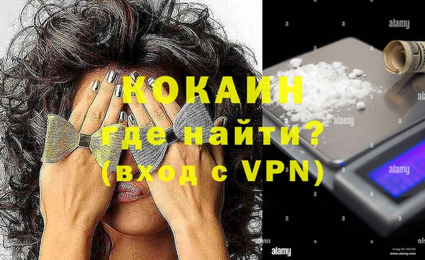 мяу мяу мука Аркадак