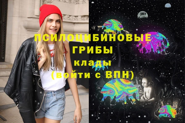 mdpv Пересвет