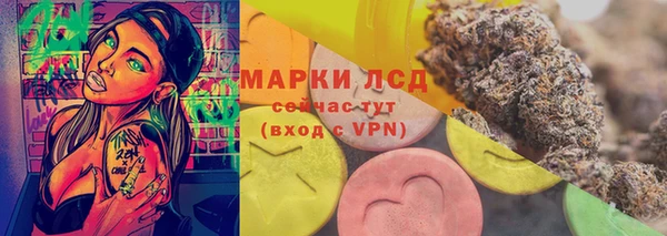 мяу мяу мука Аркадак